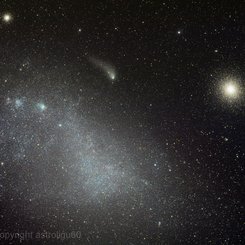  Cloud, Clusters and Comet Siding Spring 