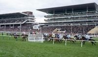 There's been lots of noise - but just how did the Cheltenham Festival fare on its key objectives?