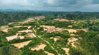 The devastating impact of galamsey: A call to action for the government