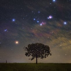  Orion Rising over Brazil 