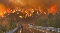 1,700 evacuated, firefighter dead as Turkey wildfires tear through major city