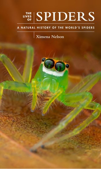 The Lives of Spiders