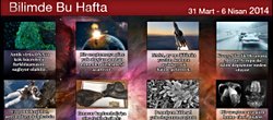 31 Mart - 6 Nisan 2014
