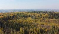 Wildfire danger climbs across much of Alberta