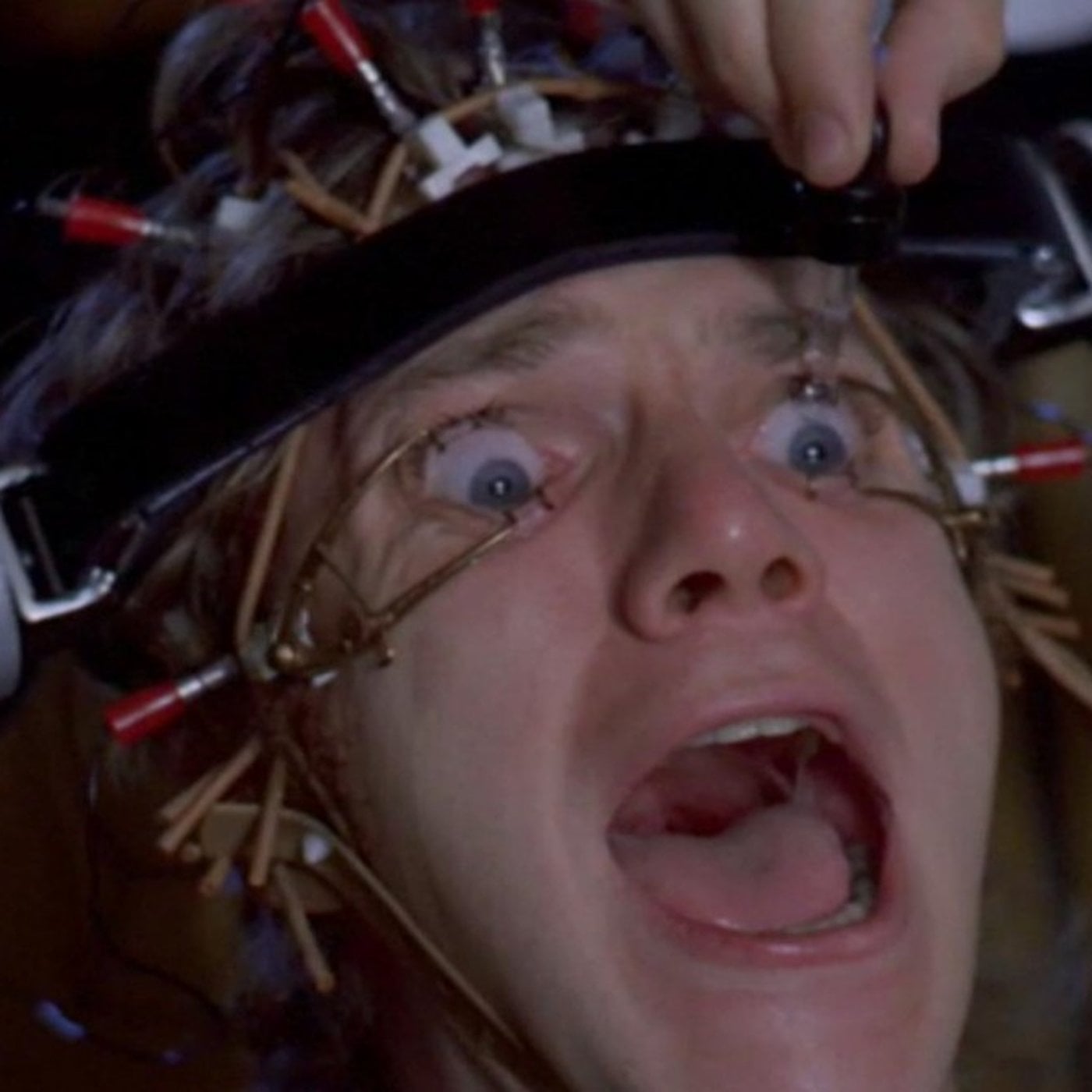 Evrim Ağacı ile Bilime Dair Her Şey!