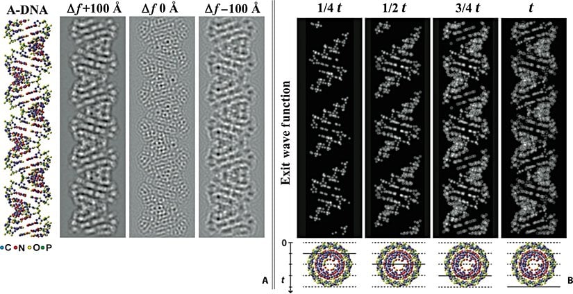 En yüksek çözünürlüklü DNA fotoğraflarından birisi... (2015)