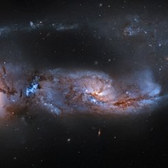  Arp 81: 100 Million Years Later