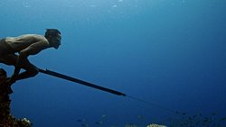 Günümüz İnsanlarında Evrim Örneği: Bajaular ve Dalgıçlık!