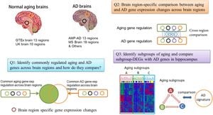 Ageing Alters Gene Expression And Splicing Patterns