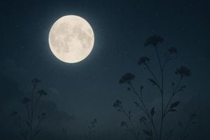 Full Moon In Scorpio Promises Transformation And Renewal