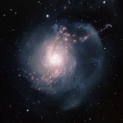  NGC 3310: A Starburst Spiral Galaxy 