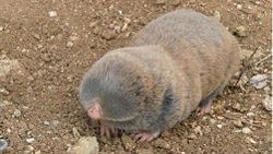 Seçilim bir hayat okuludur.