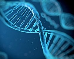 Google DeepMind’den Genetikte Yeni Dönem: AlphaGenome, Hastalıkların DNA Kaynaklarını Yapay Zekâyla Ortaya Çıkarıyor.