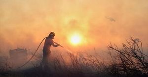 Greece Battles Devastating Wildfires Across Multiple Regions