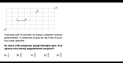 Bu kişinin [LM] sokağından geçtiği bilindiğine göre, N'ye uğramış olma olasılığı aşağıdakilerden hangisidir?