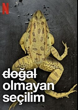Biyolojik evrim mühendisliğe nasıl yön veriyor?