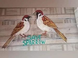 World Sparrow Day 2025 Highlights Urgent Need For Conservation