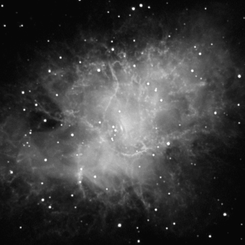 The Incredible Expanding Crab