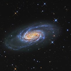 Bright Galaxy NGC 2903