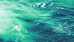 "Olo" : Daha Önce Hiç Kimsenin Görmediği Renk!