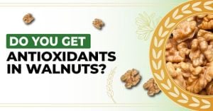 Walnut Kernel Extracts Show Promising Antioxidant And Cancer-Fighting Properties