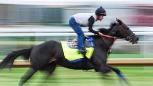 Rodriguez Scratched From Kentucky Derby Baeza Joins Field