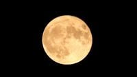 Supermoon alert: 3 more chances to see one this year