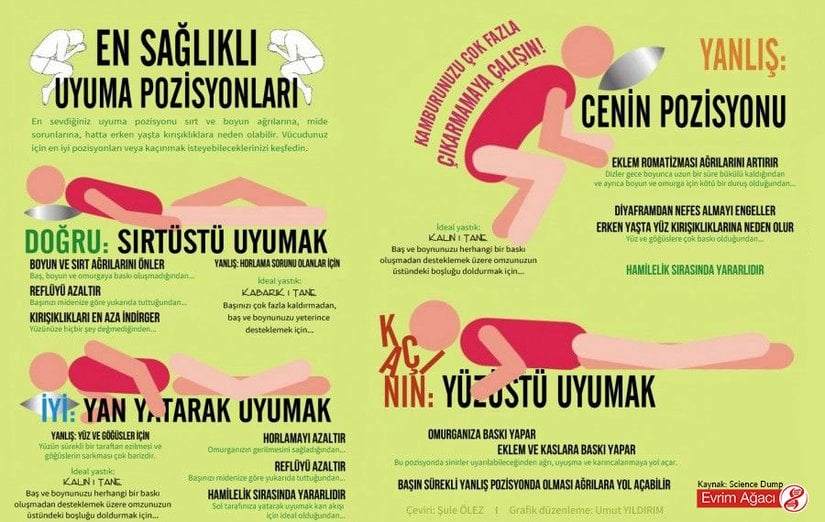 Uyku Pozisyonları