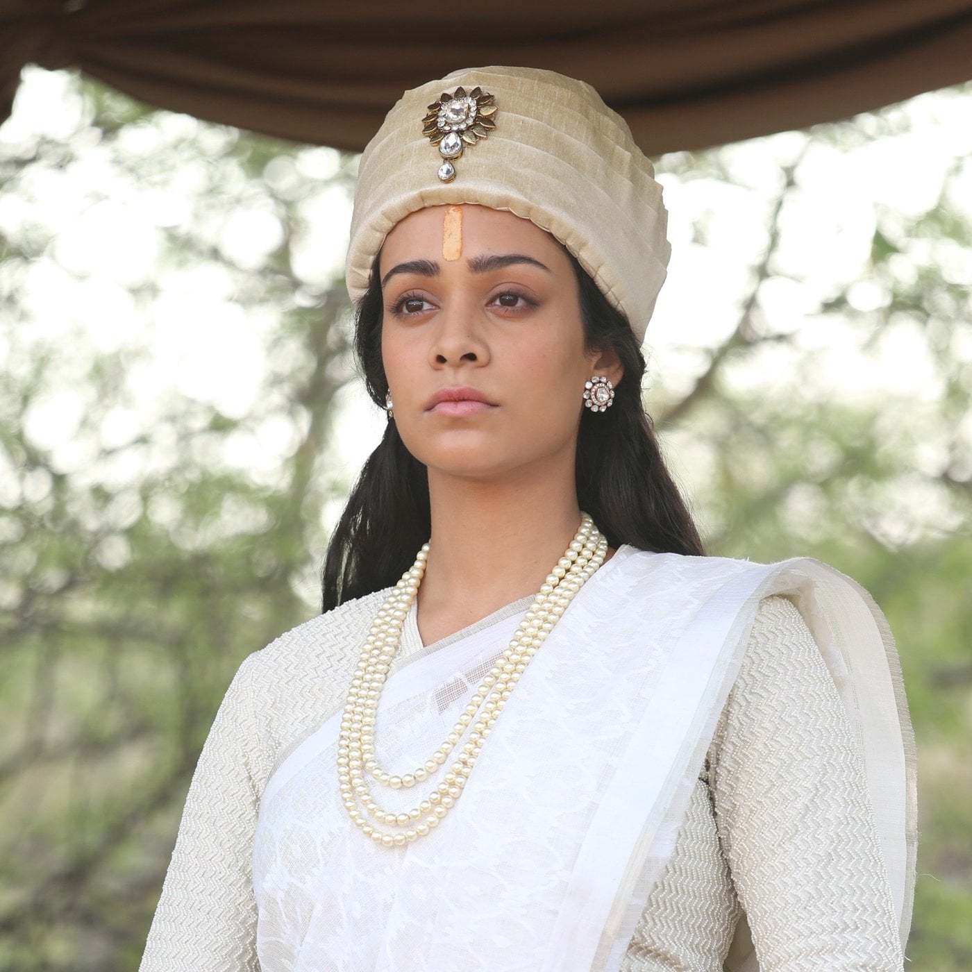 Evrim Ağacı ile Bilime Dair Her Şey!