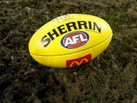 ‘Genius’: AFL world mourns passing of Andrew Krakouer
