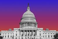 Can Congress Stop Trump’s Takeover?