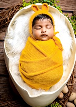 Minyatür bir yumurta teorisi mi, o da ne?