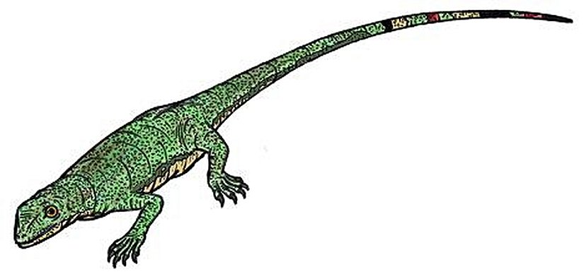 Paleothyris (Çizim)