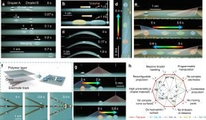 Self-Powered Triboelectric Tweezer Transforms Droplet Manipulation