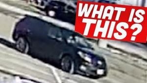 Tewksbury Police Seek Driver After Seagull Killing