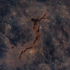  The Dark Seahorse in Cepheus 