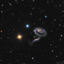  Peculiar Galaxies of Arp 273 