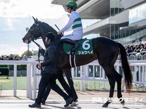 Coachellabarra Aims For Glory In Kyoto Shinbun Hai