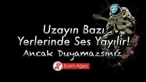 Uzayda Sesin Hiç Yayılmadığı Doğru mu? Uzayda Bazı Ses Dalgaları Yayılır; Ancak Duyamazsınız!