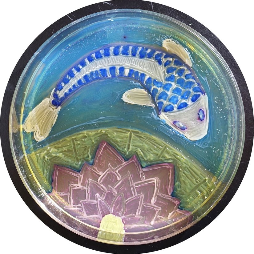 ''Seemingly Simple Elegance''