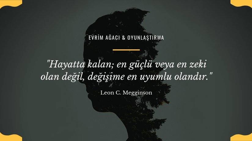 Evrim Ağacı "Uyum Puanı" (UP) Sistemi: Bir Siteyi Oyunlaştırmak!