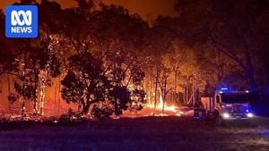 Wildfire Warnings And Outages Hit South Africa And Australia