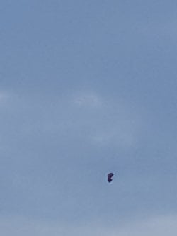 Sabahın 6.30unda elimde daha çok. Resmi olan bir nesne nedir?