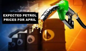 Petrol And Diesel Prices See Changes Across India And Beyond