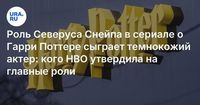 Роль Северуса Снейпа в сериале о Гарри Поттере сыграет темнокожий актер: кого HBO утвердила на главн