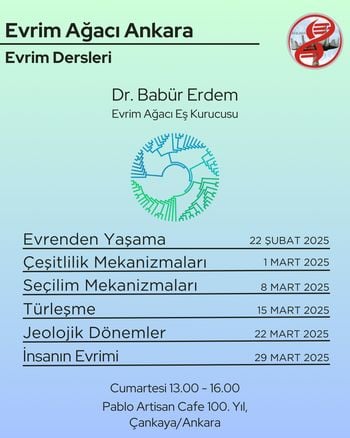 Evrim Ağacı Ankara - Evrim Dersleri