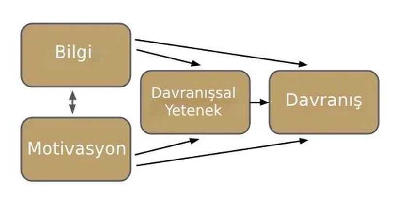 Bilgi-Motivasyon-Davranışsal Yetenek Model'inin şematize edilmiş hali.