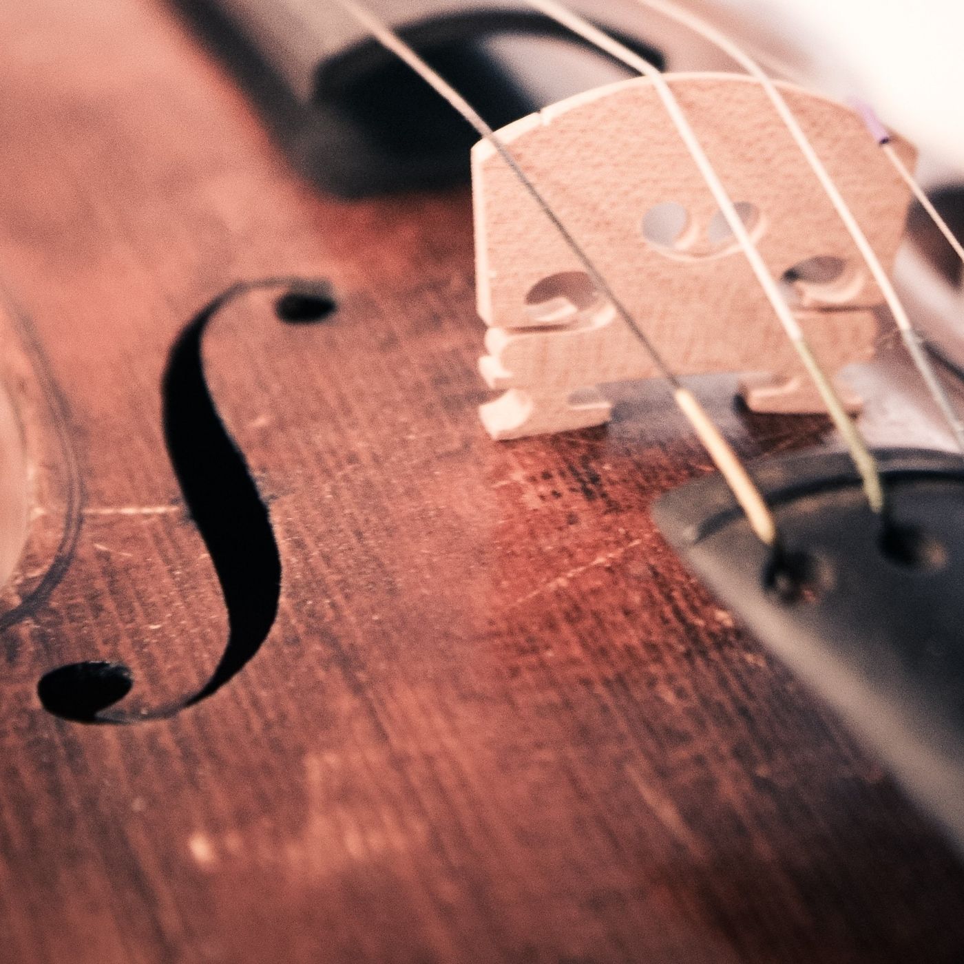 Kemanlarda Evrimsel Tasarım: Kemanlarda Neden F Deliği Var? Deliğin Bu Şekli Nasıl Tasarlandı?