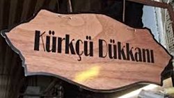 Sevgili Evrim Ağacı Ailesi, Ailem!