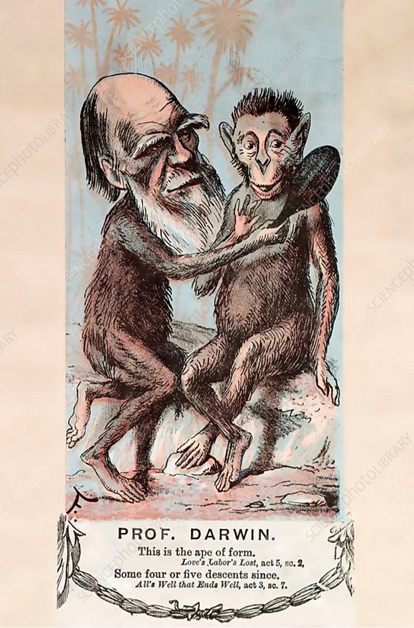 "Prof. Darwin" adlı karikatür, 1874.